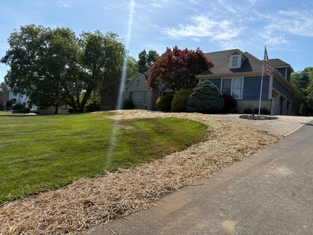 Manicured lawn