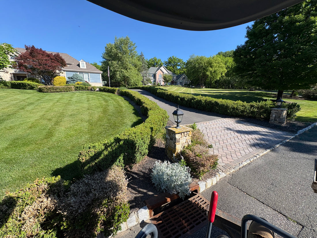 Manicured lawn and plantings