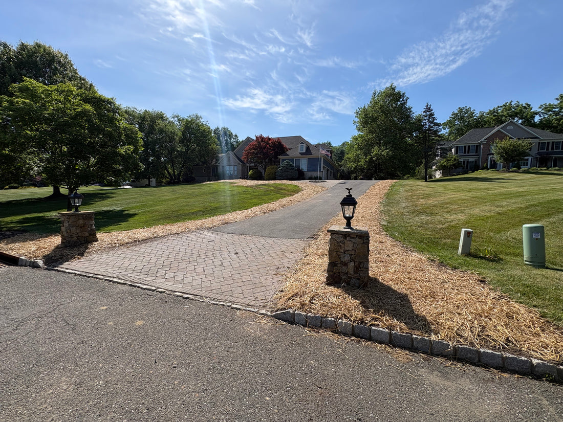 Estate lawn
