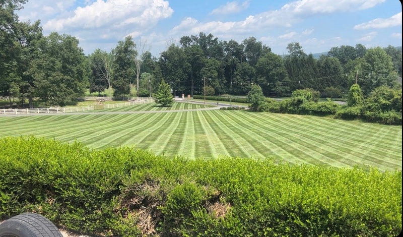 Lawn Care and Maintenance